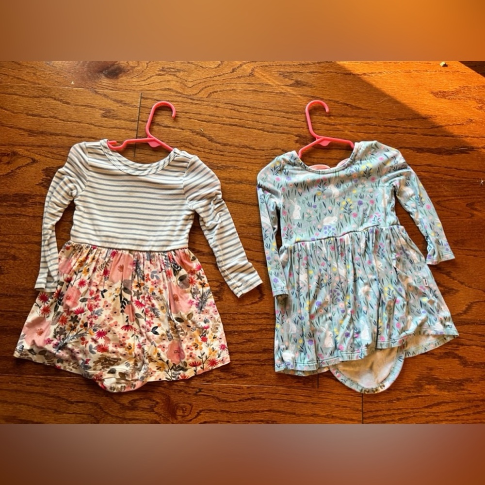 Little Sleepies Bodysuit Dresses 12-18 m